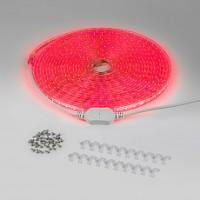 Лента светодиодная Elektrostandard LSTR001 a047023 фото Лента светодиодная Elektrostandard LSTR001 a047023. Фото №1
