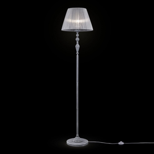 Торшер Maytoni Monsoon ARM154-FL-01-S. Фото №2