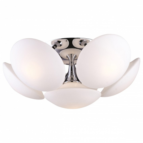 Потолочная люстра Arte Lamp Soffione A2550PL-6CC. Фото №1