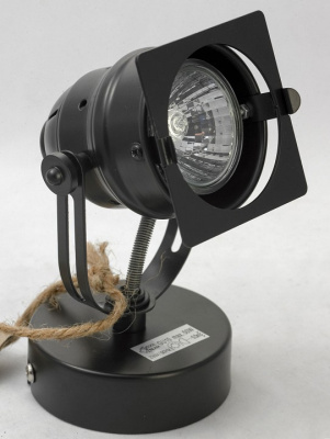 Спот Lussole Denver LSP-9118. Фото №2