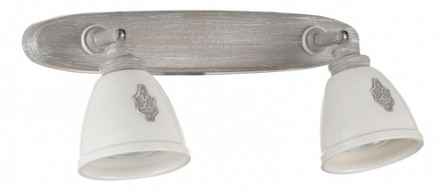 Спот Maytoni Agnes SP289-CW-02-BG. Фото №1