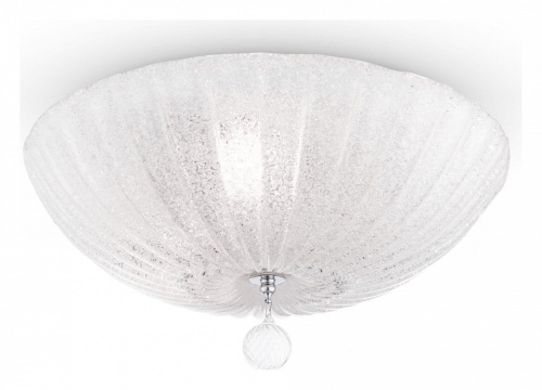 Накладной светильник Maytoni Sienna C216-CL-03-N. Фото №1