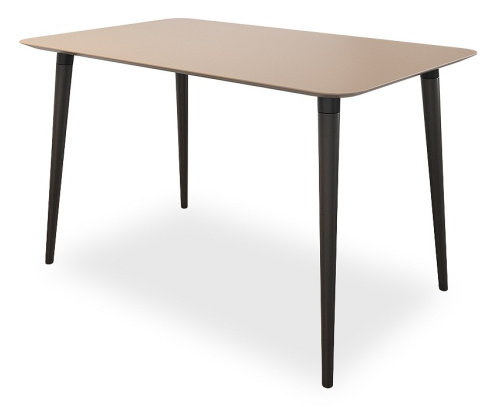 Сканди 1 Стол (обеденный) кофейный/венге. Фото №1