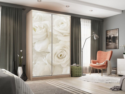 Рио 7-600 розы (полки справа) дуб млечный. Фото