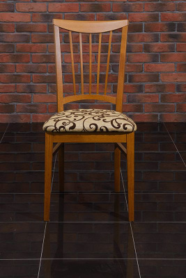 Стул  Поло. Фото