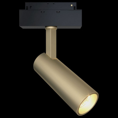 Светильник на штанге Maytoni Focus LED TR019-2-10W3K-MG фото Светильник на штанге Maytoni Focus LED TR019-2-10W3K-MG. Фото №2